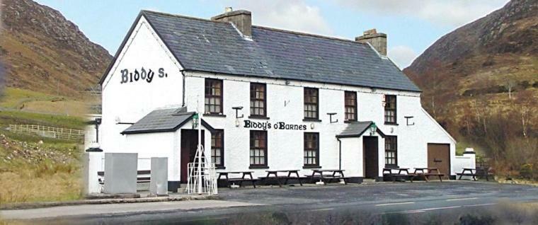Leghowney House ドネゴール エクステリア 写真